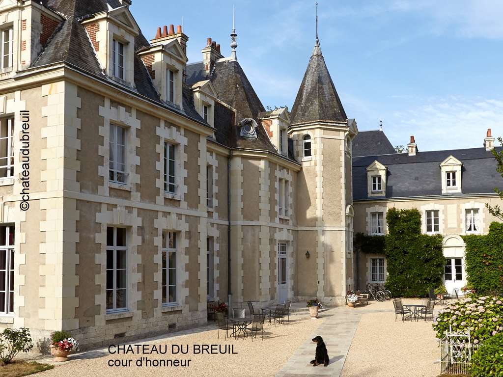 Chateau Du Breuil Cheverny Buitenkant foto