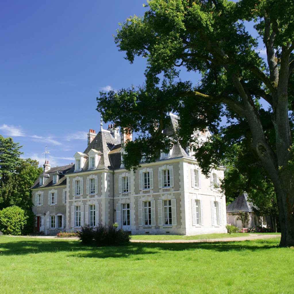 Chateau Du Breuil Cheverny Buitenkant foto
