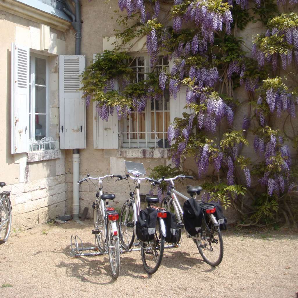 Chateau Du Breuil Cheverny Buitenkant foto