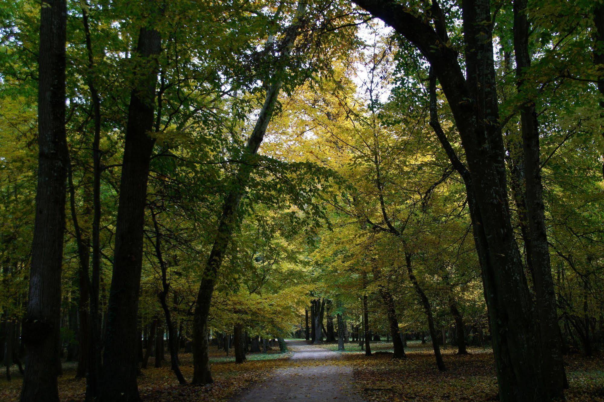 Chateau Du Breuil Cheverny Buitenkant foto